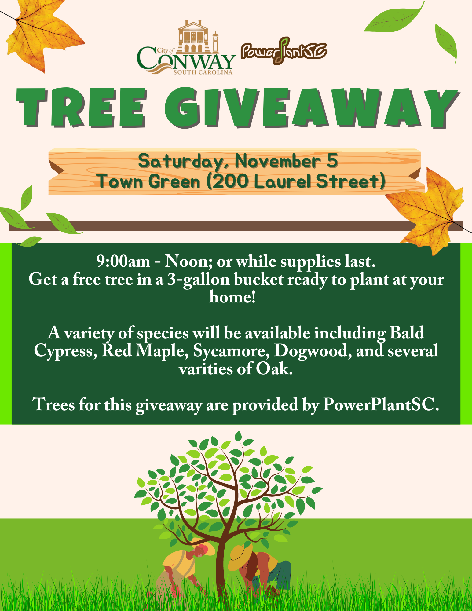 Tree Giveaway 11.5